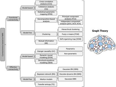 Application of Graph Theory for Identifying Connectivity Patterns in Human Brain Networks: A Systematic Review